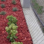 realizace_zahrad_beroun_III_03